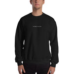 Load image into Gallery viewer, Catch flights, not COVID sweater
